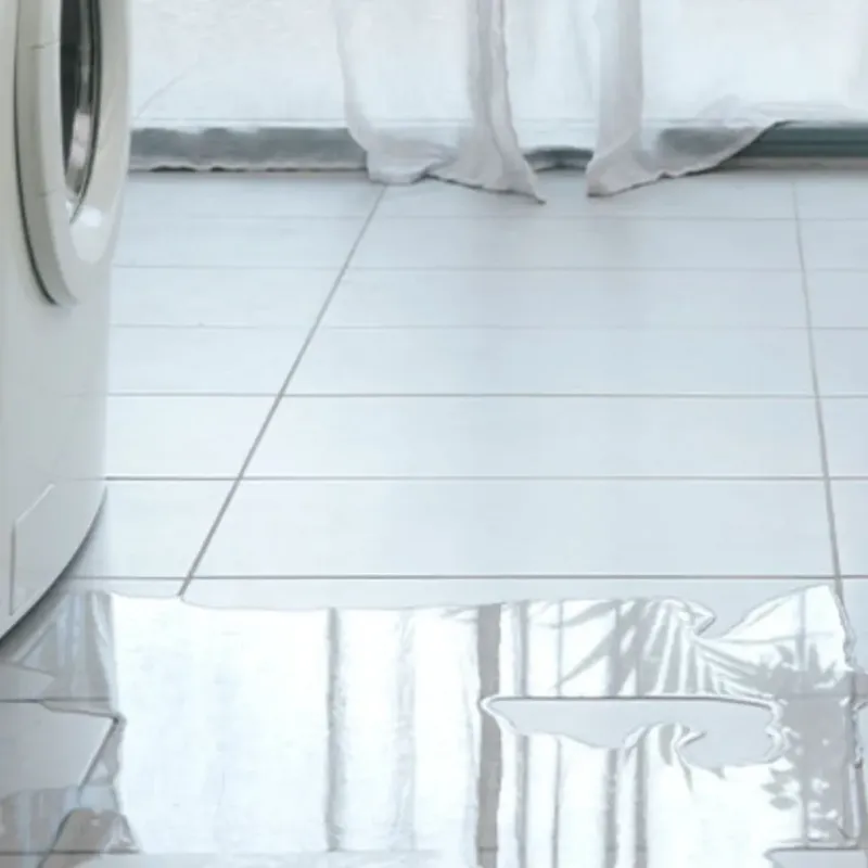 Appliance Leak Cleanup in Holland, TX