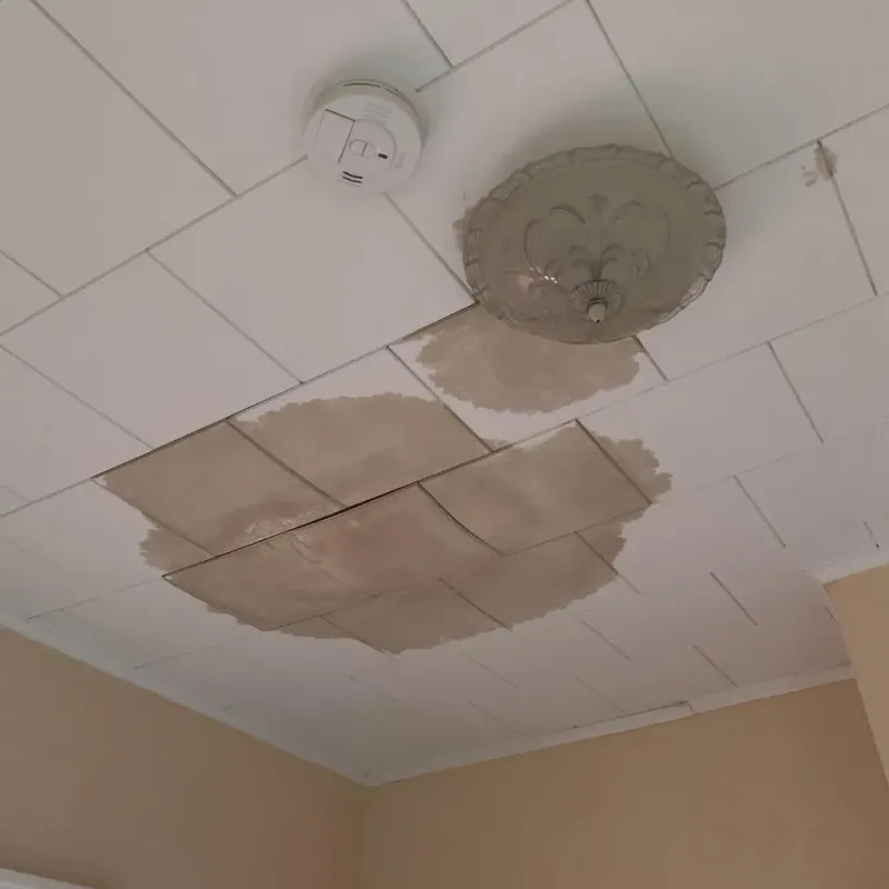 Ceiling Water Damage Repair in Holland, TX