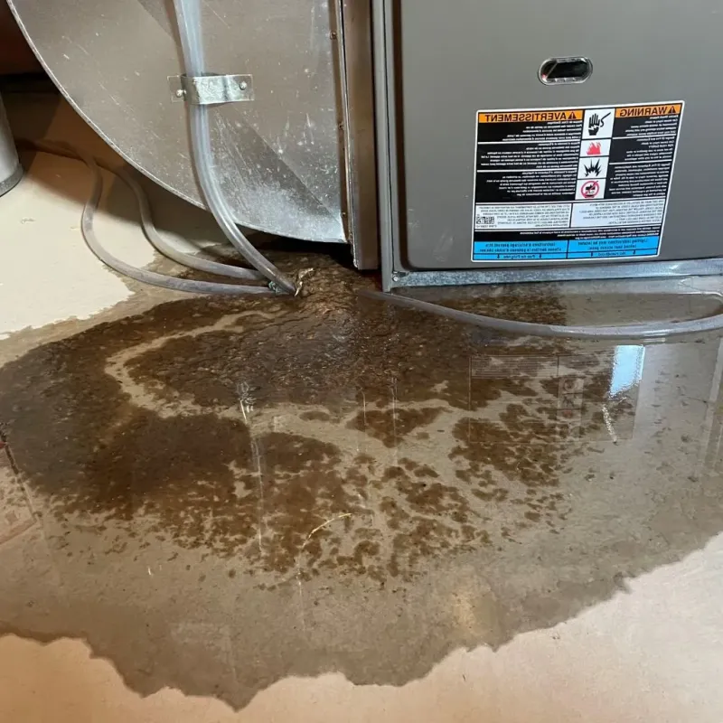 Pipe Burst and Leak Restoration in Holland, TX