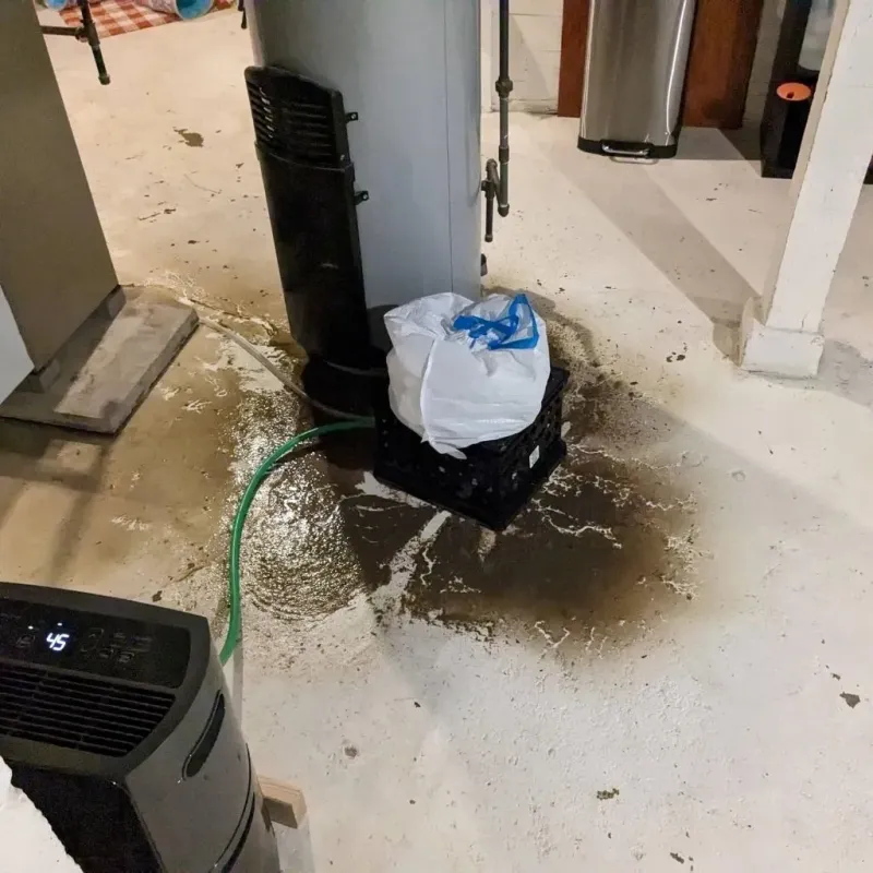 Sewage Backup Cleanup Service in Holland, TX